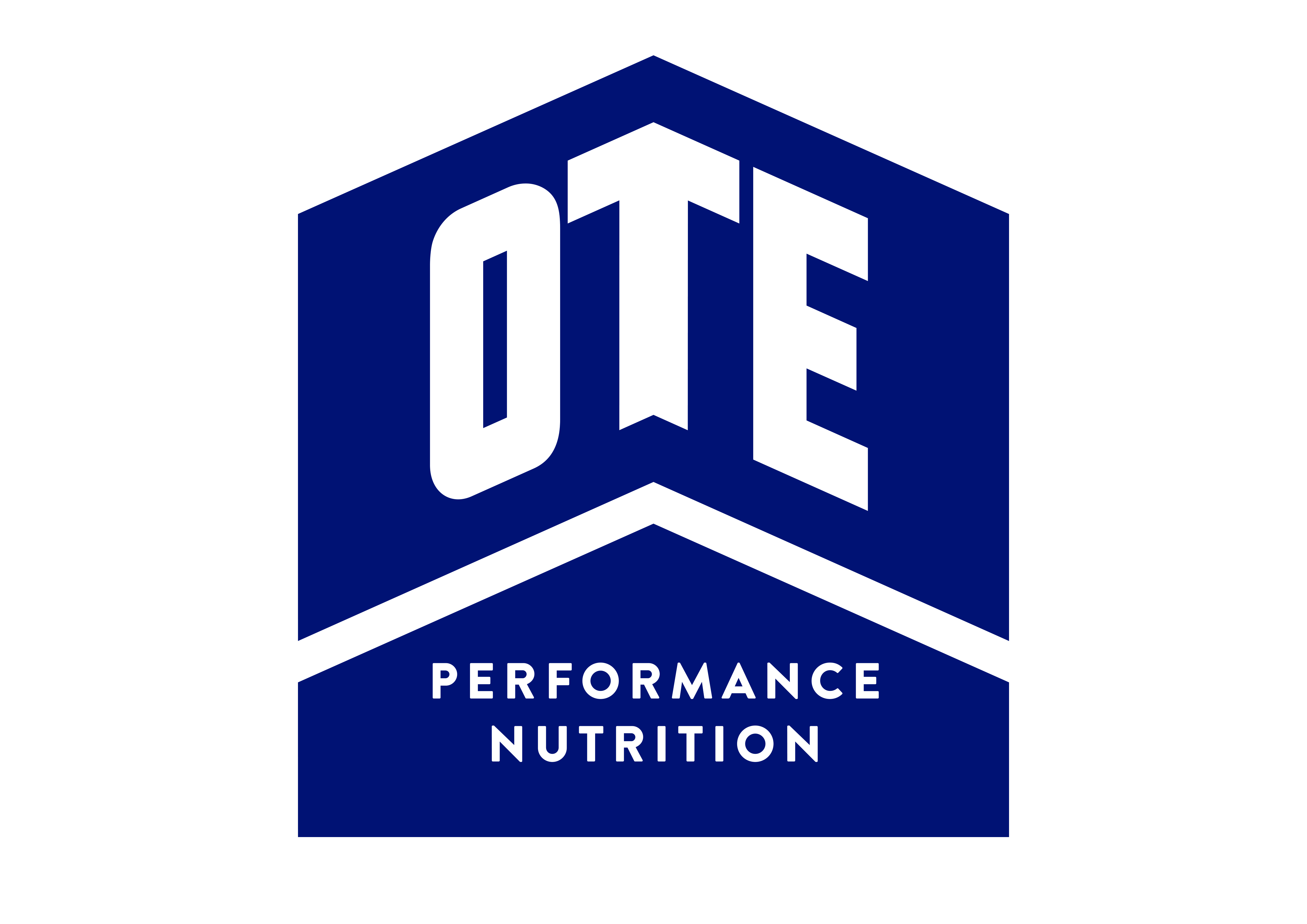OTE Logo Blue